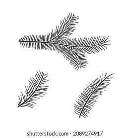 hand drawn pine branch set. vector floral elements for christmas and new year design