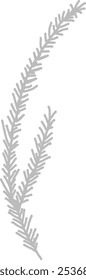 Hand Drawn Pine Branch Vector Illustration