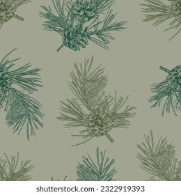 
Ramas de pino dibujadas a mano con conos sin costura. Diseño vectorial vintage.