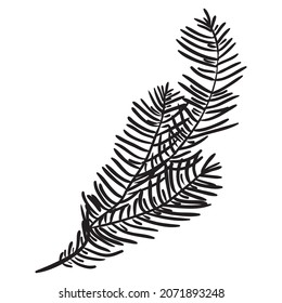 Hand drawn pine branches for creation of your own design for Christmas or New year. Vector, illustration.