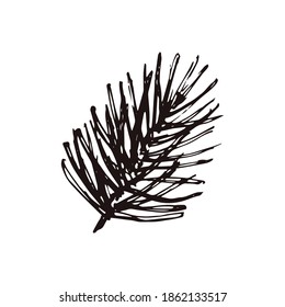 Hand Drawn pine branches isolated on white background. Christmas and New Year decoration elements. Template for postcard, banner, poster, web design. Doodle vector illustration.