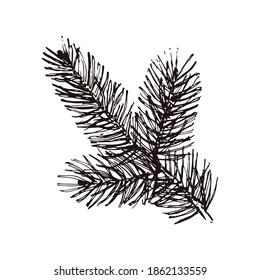 Hand Drawn pine branches isolated on white background. Christmas and New Year decoration elements. Template for postcard, banner, poster, web design. Doodle vector illustration.
