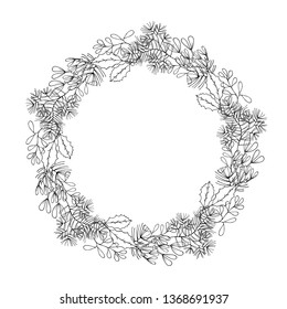 Hand drawn pine with cone, mistletoe and holly frame. Holiday floral coniferous wreath for decoration. Vector isolated Christmas design elements.