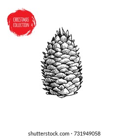 Hand drawn pine cone sketch style. Christmas symbol isolated on white background. Vector botanical illustration.