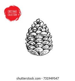 Hand drawn pine cone sketch style. Christmas symbol isolated on white background. Vector botanical illustration.