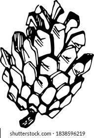 Handgezeichneter Kiefernkegel. Vektorgrafik. Tannenkegel-Skizze einzeln auf weißem Hintergrund für Logo, Grußkarte, Plakat, Urlaubsattdekor.