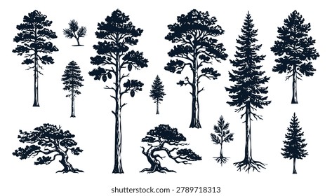Hand Drawn Pine and Conifer Trees Sketch Vector Collection