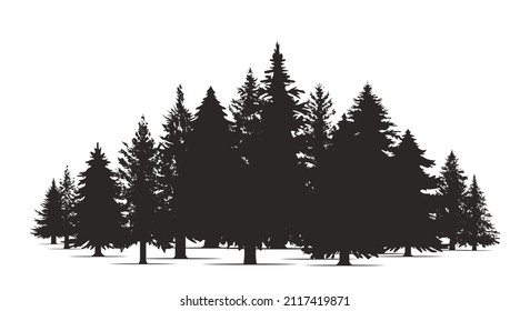 Hand drawn pine forest. Christmas banner template. Vector set silhouette of different Canadian pine trees.