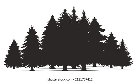 Hand drawn pine forest. Christmas banner template. Vector set silhouette of different Canadian pine trees.