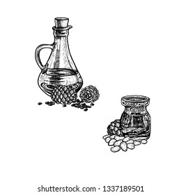 Hand drawn pine nut oil. Extract of plant. Retro isolated sketches. Vintage collection. Linear graphic design. Black and white image. Vector illustration.