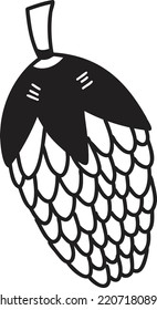 Hand Drawn pine seeds illustration isolated on background