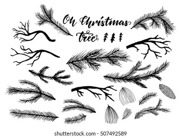 Hand drawn pine, spruce branches, twigs. Oh Christmas tree - handwritten modern brush lettering.