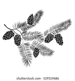 Hand Drawn Pine Tree Branch Isolated On White Background. Ink Illustration In Vintage Engraved Style