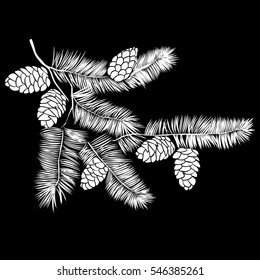 Hand drawn pine tree branch isolated on black background. Ink illustration in vintage engraved style