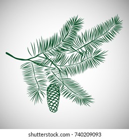 Hand drawn pine tree branch. Ink illustration in vintage engraved style. Vector illustration