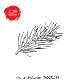Hand drawn pine tree branch. Christmas and witner seasonal design element. Great for holiday decor, greetings. Vector illustration.