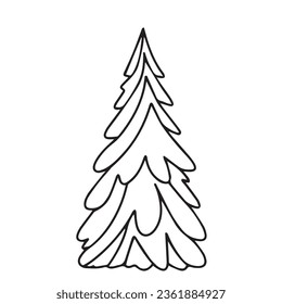 Hand drawn pine tree in doodle style isolated on white background. Outline fir tree. Vector illustration.