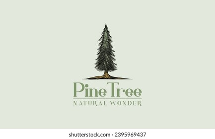 Logotipo vintage del árbol de pino dibujado a mano, diseño de ilustración del vector de abeto de color verde