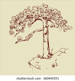 Hand drawn pine tree. Vintage pine tree drawing, Tree onbeige. Hand drawn tree on the rock. Ink drawn tree. Brown pine tree