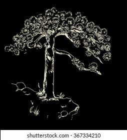 Hand drawn  pine tree white on black