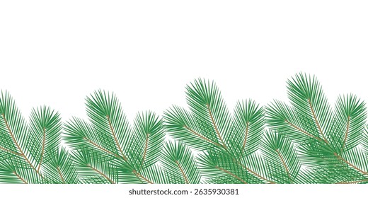 Hand Drawn Pine Twigs Bottom Frame border Transparent Background Copy space Template Winter Holiday - Powered by Shutterstock - Get 15% off with code: PIKWIZARD15