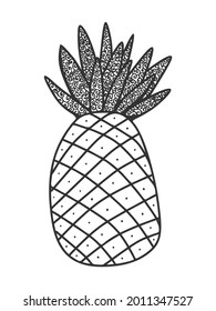 Hand drawn pineapple. Black and white vector illustration of tropical fruit. Coloring page.