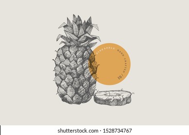 Hand drawn pineapple. Dessert and exotic fruits, whole and chopped lobule. Organic food concept. Can be used for your design. Vintage botanical illustration on a light isolated background. 