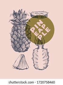 Hand drawn pineapple. Dessert and exotic fruits, sliced and whole. Can be used to design markets, menu and packaging. Organic food concept. Vintage botanical illustration on light isolated background.