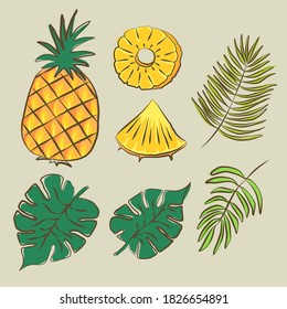 Hand drawn pineapple fruit elements vector