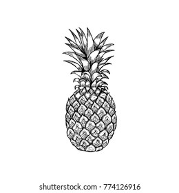 35,026 Hand drawn pineapple Images, Stock Photos & Vectors | Shutterstock