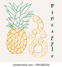 Hand drawn pineapple fruit multicolor line art vector illustration. Colorful line art exotic fruit design.