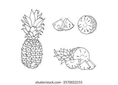 Hand drawn pineapple fruit set,Line art style illustration