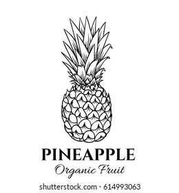 Hand drawn pineapple icon. Vector badge fruit in the old ink style for brochures, banner, restaurant menu and market