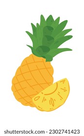 Hand Drawn Pineapple Illustration Isolated On White Background. Fresh Summer Fruit illustration.
