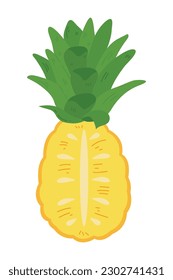 Hand Drawn Pineapple Illustration Isolated On White Background. Fresh Summer Fruit illustration.