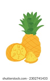 Hand Drawn Pineapple Illustration Isolated On White Background. Fresh Summer Fruit illustration.