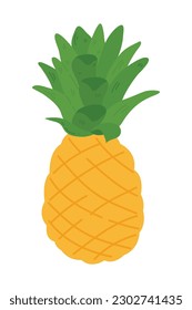 Hand Drawn Pineapple Illustration Isolated On White Background. Fresh Summer Fruit illustration.