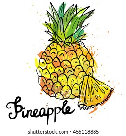 hand drawn pineapple, ink drawing vector illustration, color fruit