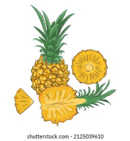 Hand drawn pineapple isolated on white background.