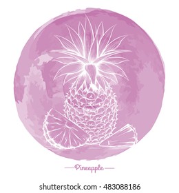 Hand drawn pineapple on watercolor pink circle backdrop vector