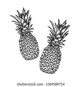 Hand drawn pineapple, realistic high detailed line art. Thin artistic pencil outline. Vintage ink flat style, engraved sketch. Vector illustration.