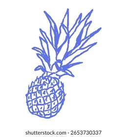 Dibujado a mano boceto de piña en color azul tiza. Dibujo de fruta de arte de línea tropical. Diseño orgánico de la impresión de la etiqueta de la comida para el empaquetado del verano, gráficos.