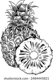 Hand drawn Pineapple Sketch Illustration