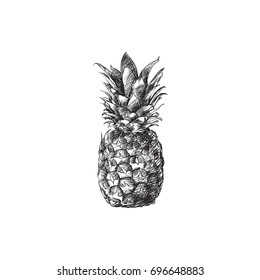Hand Drawn Pineapple Sketch Symbol. Vector Ananas Element In Trendy Style.
