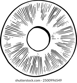 Hand drawn Pineapple Slice Sketch Illustration