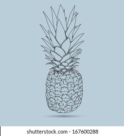 Hand Drawn Pineapple Vector