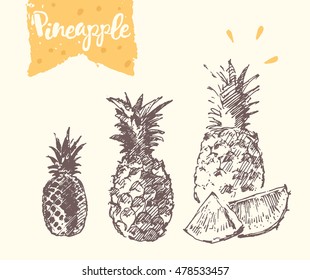 Hand drawn pineapple, vector illustration, sketch