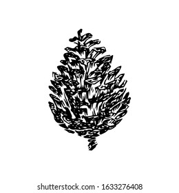 Hand drawn pinecone vector illustration. Linocut pine or fir cone decorative graphic image. Stylized monochrome black isolated on white background. 