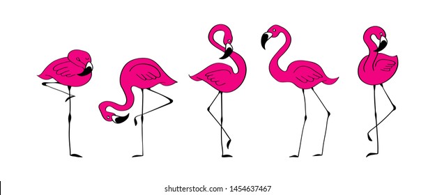 Hand drawn pink flamingo set. Collection of cute doodle birds isolated on white background. Trendy vector illustration.