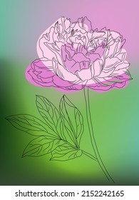 hand drawn pink flower on green vector background, digitally created on a tablet